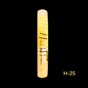 H-25